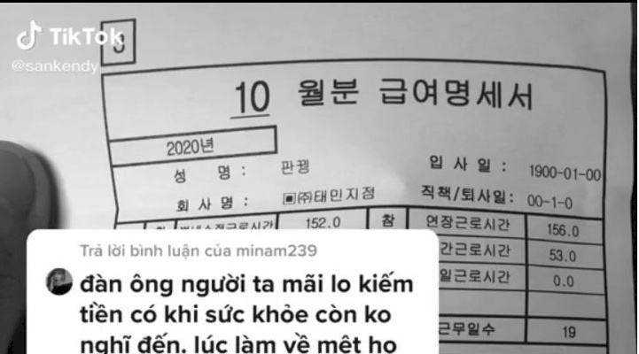 Vietnamese Foreign Workers' Salary Statement