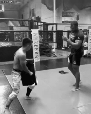 The power of a UFC player's low kick.gif