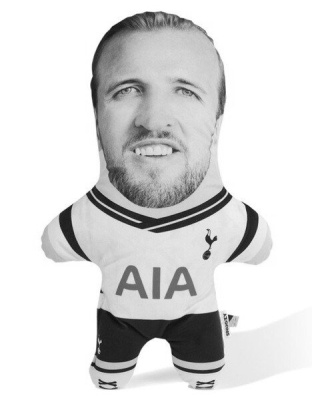 It's a weird Tottenham fan merchandise.jpg