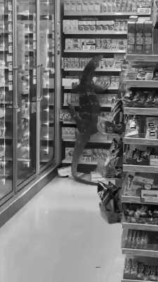 Oh, there's a bunch of troublemakers at the convenience store, and they're throwing everything over and over again.