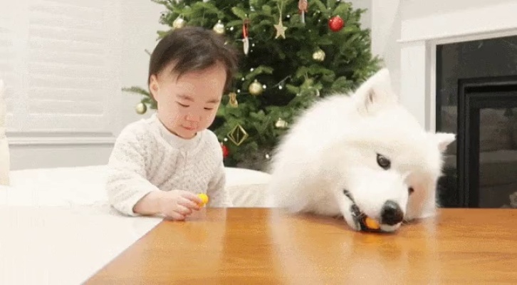 A baby who shares snacks with a dog.gif