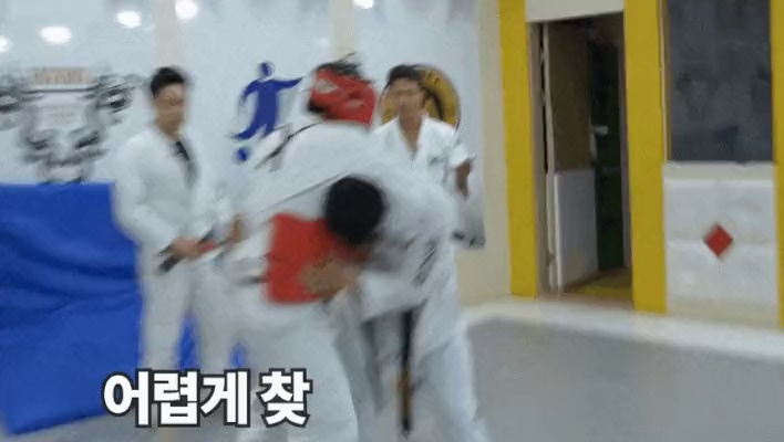 Taekwondo against Jiu-Jitsu.gif