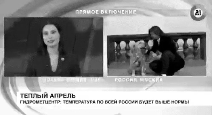 A Russian reporter who was robbed during a live broadcast.gif