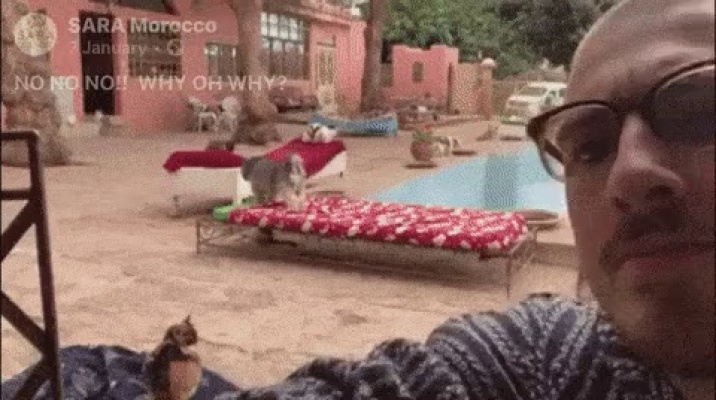 What happens every break in the Animal Rescue Center.gif