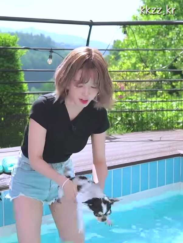 Puppy and Choa in the pool.