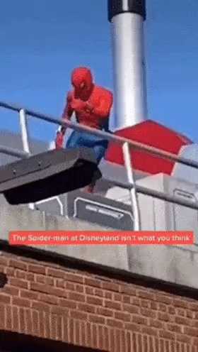 The Secret of Spiderman in Disneyland.