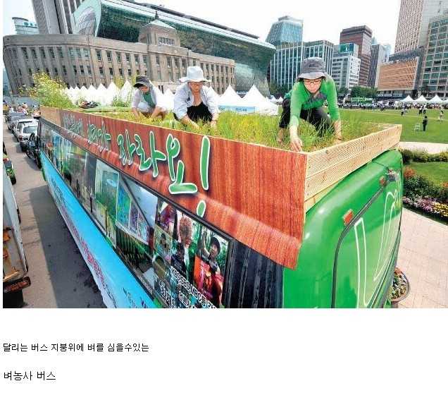 Seoul City's ambitious project.