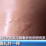 [Video] "The bat asked..."Wuhan Research Institute released a video clip titled 'Increasing the rumor of Corona origin'