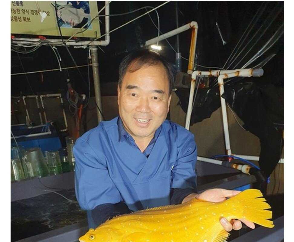 The world's first successful golden flatfish.