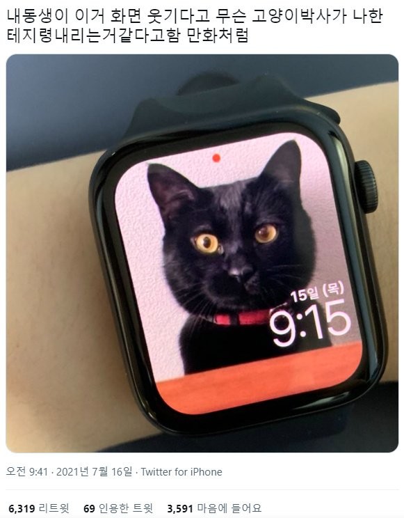 Why do I need to use a cat's picture for my smartwatch watch face?