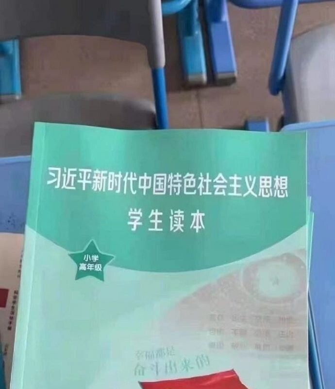 Update on Chinese elementary school textbooks.JPG