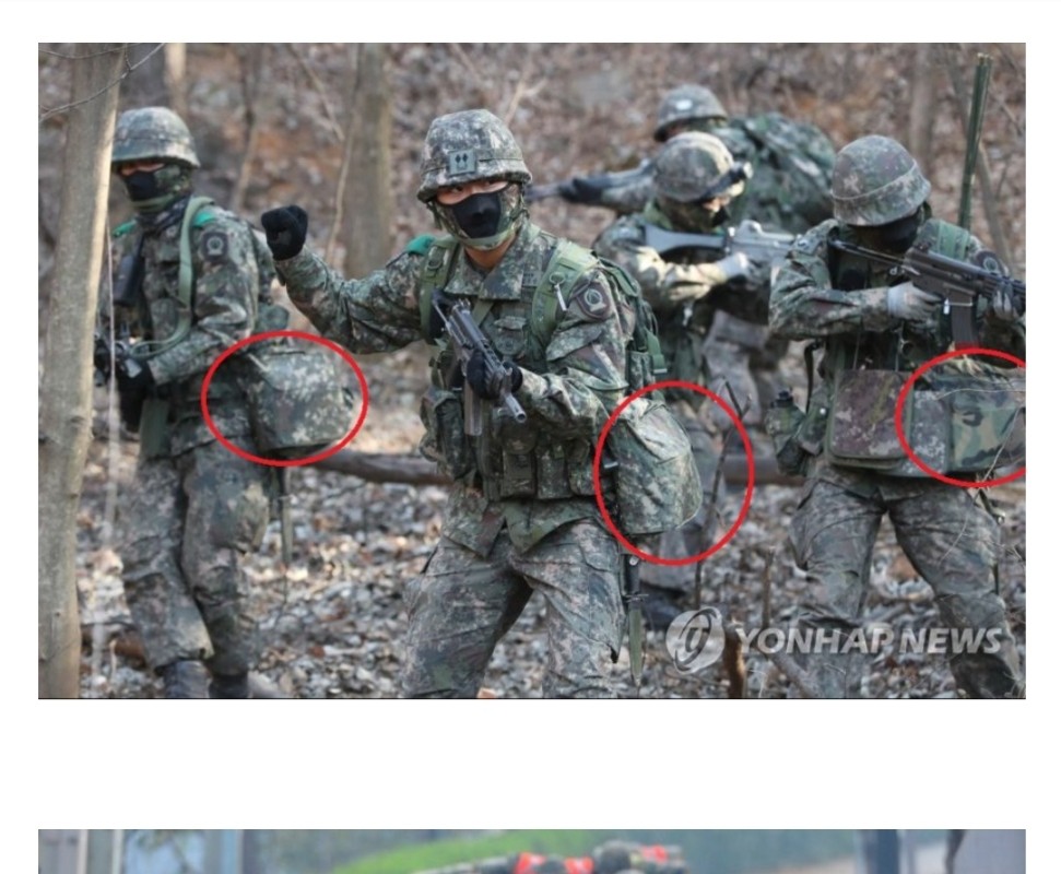 Surprisingly, Western fans are curious about the Korean military.jpg