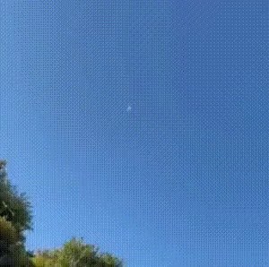 Problems with drone delivery gif.