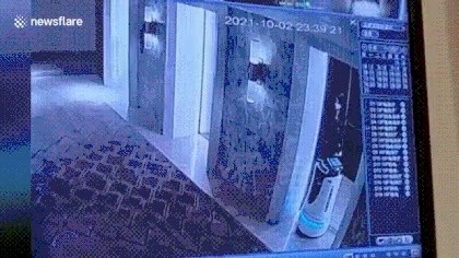 A man who kicked a robot in the elevator.