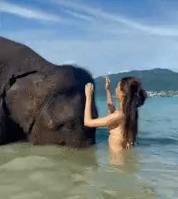 The woman on the elephant's nose.