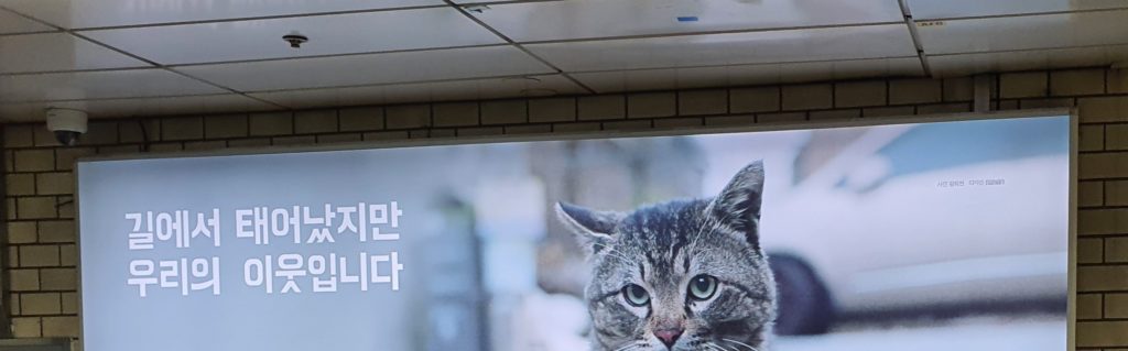 Cat moms, now even advertising.