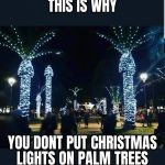 The reason why palm trees don't decorate Christmas trees.