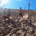 Going down the sand dunes gif