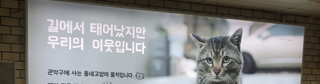 I saw a commercial made by Cat Mom Association on the subway.