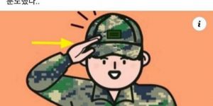 Military service vs Chewy fan salute.jpg