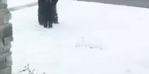 Daddy gif to teach his daughter a snow angel.