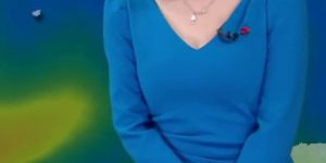 V-neck blue dress. Puppy and weather forecaster.