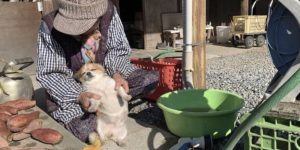 I came to the market with my grandmother, but I fell asleep because I was tired.