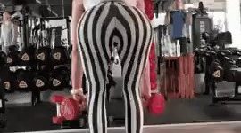 Zebra, cj, backside gif