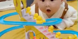 Baby gif is amazed by duck toys.
