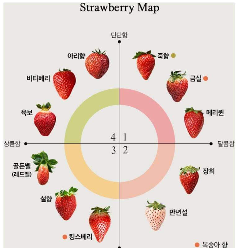 Various types of strawberries.