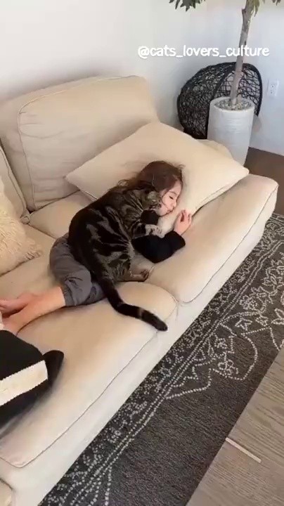 A cat that can't get away from a sleeping butler.