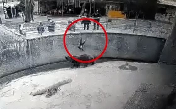 A mother who threw her daughter at a zoo bear...Six zookeepers have a story GIF of Rescue Uzbekistan...