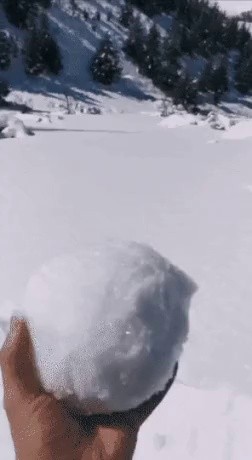 What if I actually roll a snowball high?