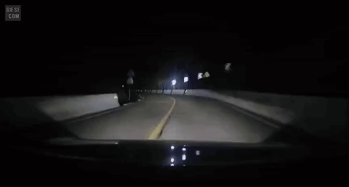 Human gif who takes initial D alone.