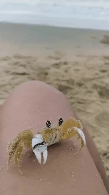 The sand on my eyes is gif