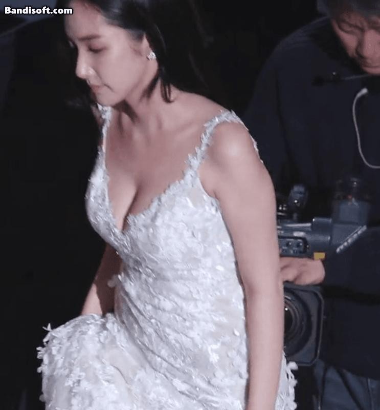 Park Minyoung's dress legend.