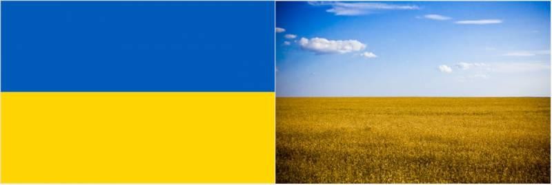 The origin of the Ukrainian flag.