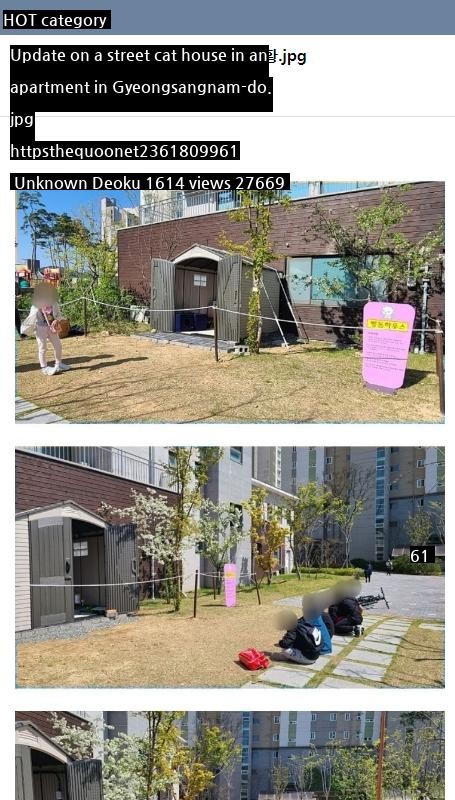 Update on a street cat house in an apartment in Gyeongnam.jpg