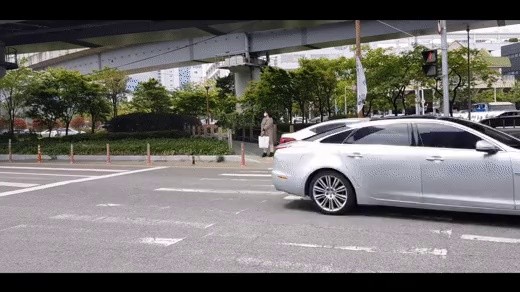 Interesting Busan pedestrian traffic light gif