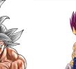 Dragon Ball Super Son Goku Veggie Transformation Jpg