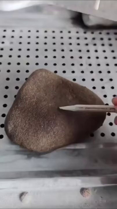 SOUND stone toad sculpture gif