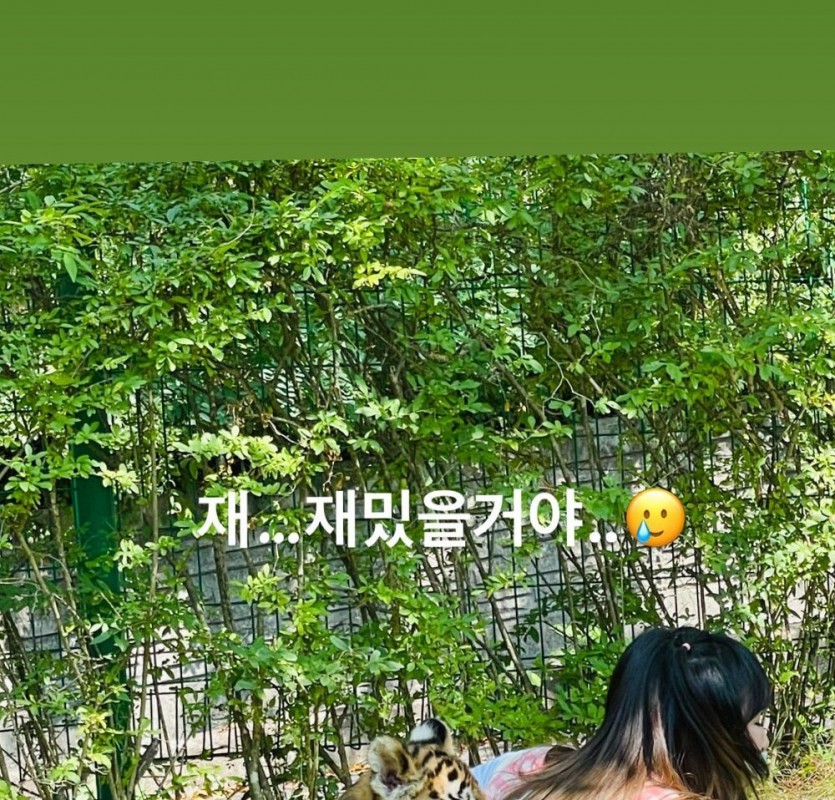 Yena, a duck caught by a tiger