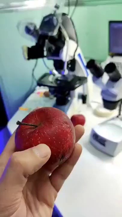 SOUND, why can't you wipe off fruits with your hands and eat them with the skin?