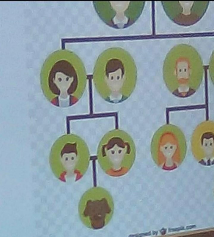 the perfect genealogy