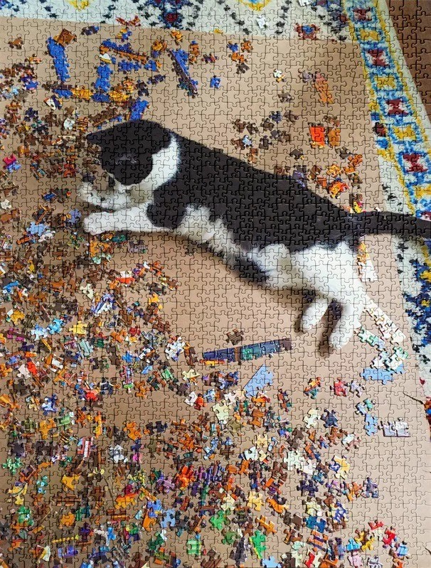 Jigsaw puzzle that expresses cats so well