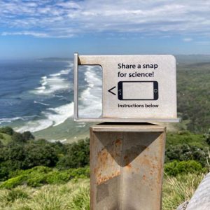 The Secret of Smartphone Cradle on the Coast of Australia