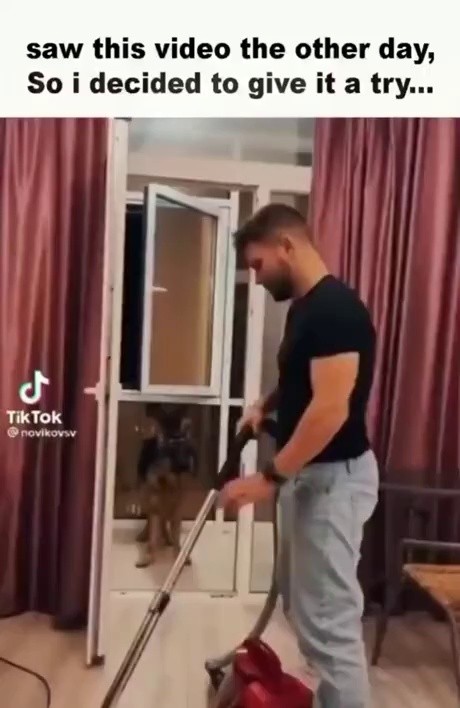 The puppy's reaction when the owner of SOUND is attacked by the vacuum cleaner