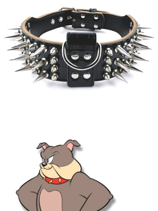 The reason why dogs have thorns on their necklaces.jpg