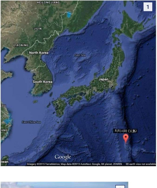 일본 치치지마 섬 사건