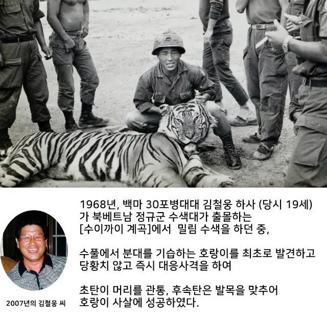 Korean sergeant who caught a tiger at the age of 19